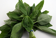 Post image for Easy Basil Pesto Recipe